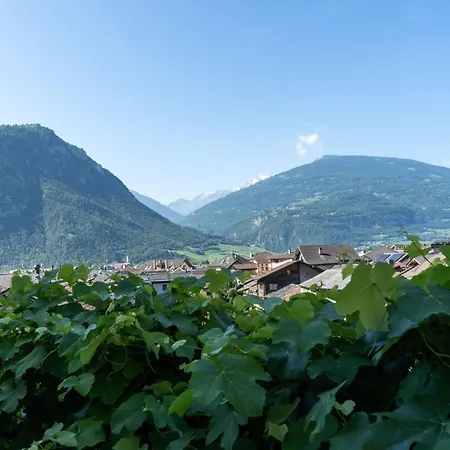 Nocleg ze śniadaniem Feuille De Vigne *