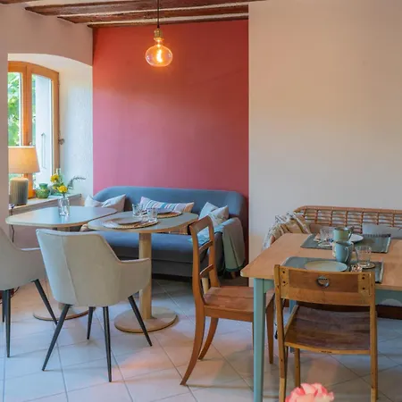 Feuille De Vigne Saint-Léonard