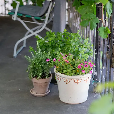 Feuille De Vigne 住宿加早餐酒店