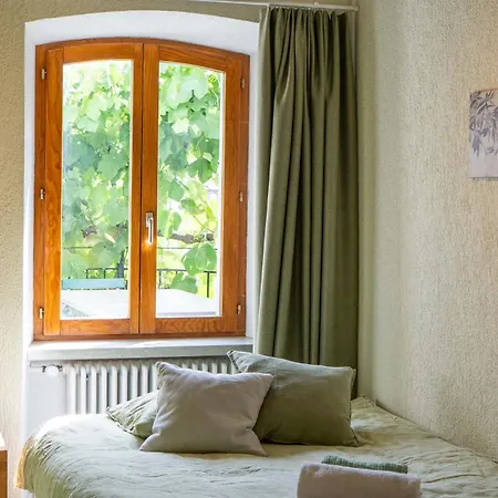 Feuille De Vigne Saint-Léonard