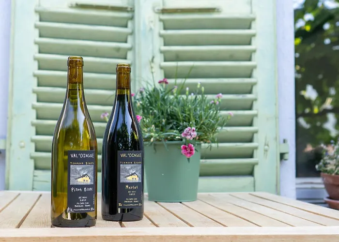 住宿加早餐酒店 Feuille De Vigne Saint-Léonard