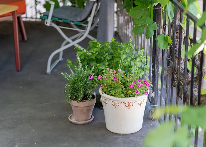 Feuille De Vigne 住宿加早餐酒店