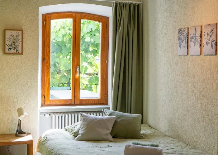 Feuille De Vigne Saint-Léonard