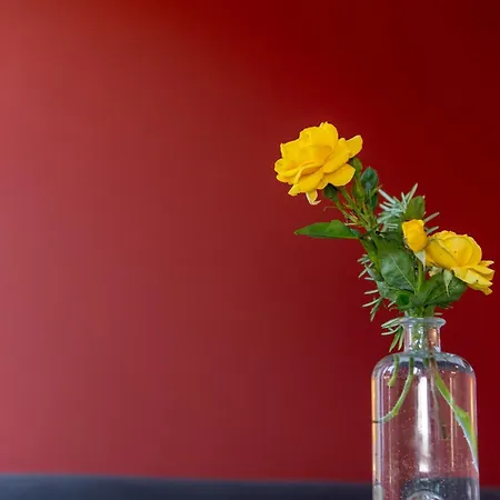 Feuille De Vigne Bed and breakfast